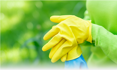 Taking Your Cleaning Business to the Next Level: Tips for Hiring Your First Team